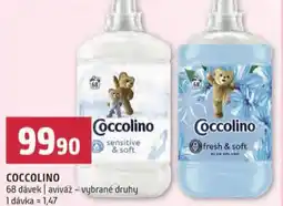 Terno Coccolino nabídka