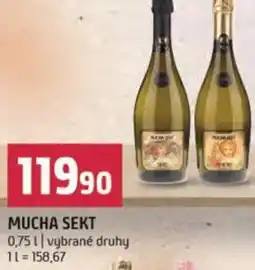 Terno Mucha sekt nabídka