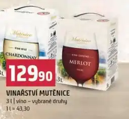 Terno Vinařství mutěnice nabídka