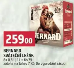 Terno Bernard sváteční ležák nabídka