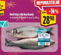 Albert Mořský vlk kuchaný nabídka