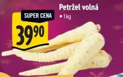 Albert Petržel volná nabídka