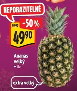Albert Ananas velký nabídka
