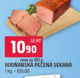 Terno Vodňanská pečená sekaná nabídka