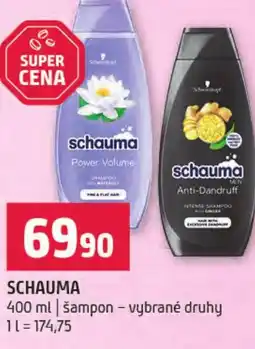 Terno Schauma nabídka