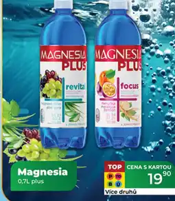 Tamda Foods Magnesia plus nabídka