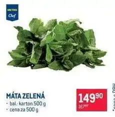 Makro Máta zelená nabídka
