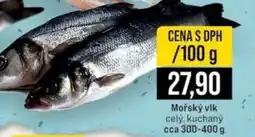 Jip Mořský vlk nabídka