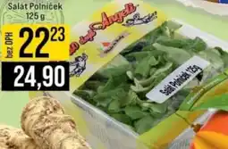 Jip Salát Polníček nabídka