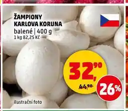 Penny Market Žampiony nabídka