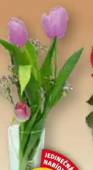 Penny Market Kytice hyacint a tulipány nabídka