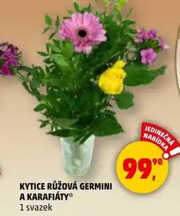 Penny Market Kytice růžová germini a karafiáty nabídka