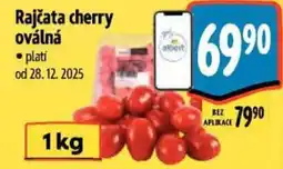 Albert Rajčata cherry oválná nabídka