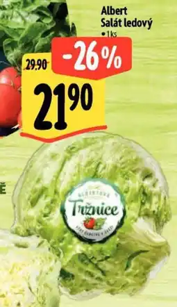 Albert Albert Salát ledový nabídka