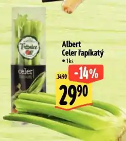 Albert Albert Celer řapíkatý nabídka