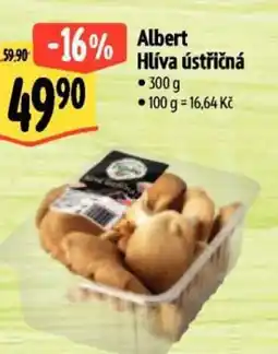 Albert Albert Hlíva ústřičná nabídka