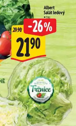 Albert Albert Salát ledový 1ks nabídka