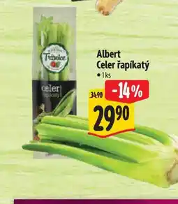 Albert Albert Celer řapíkatý 1ks nabídka