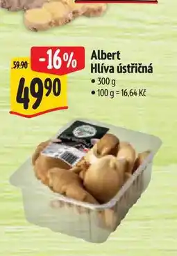 Albert Albert Hlíva ústřičná 300 g nabídka