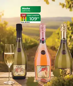 Tamda Foods Mucha sekt 0,75L nabídka