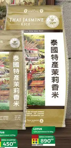 Tamda Foods LOTUS rýže jasmínová 18,18kg nabídka