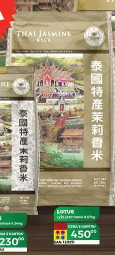 Tamda Foods LOTUS rýže jasminová 9.07kg nabídka