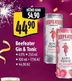 Albert Beefeater Gin & Tonic 250 ml nabídka