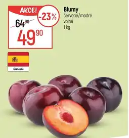 Globus Blumy červené/modré volné nabídka