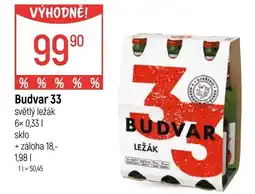 Globus Budvar 33 nabídka