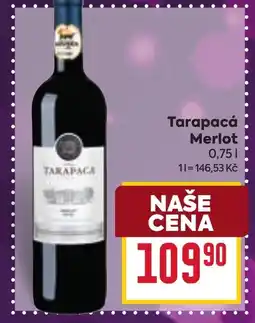 Billa Tarapacá Merlot nabídka