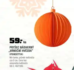 OBI Pryšec nádherný „vánoční hvězda" (poinsettia) nabídka