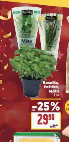 Billa Pažitka nabídka