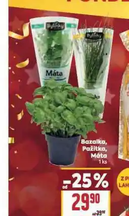 Billa Bazalka nabídka