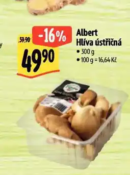 Albert Hlíva ústřičná nabídka