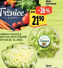 Albert Salát ledový nabídka