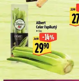 Albert Celer řapíkatý nabídka
