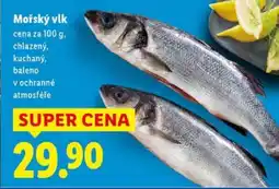 Lidl Mořský vlk nabídka