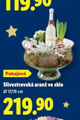 Lidl Silvestrovská aranž ve skle nabídka