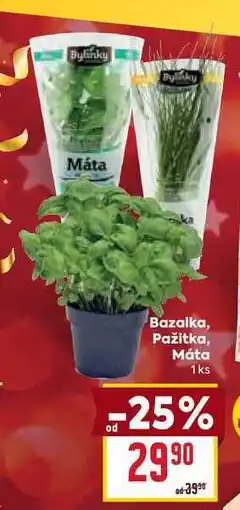 Billa Bazalka, Pažitka, Máta 1ks nabídka