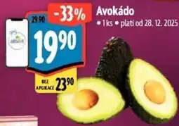 Albert Avokádo nabídka