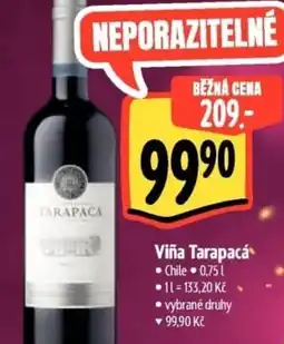 Albert Viña Tarapacá nabídka