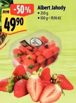 Albert Albert Jahody nabídka