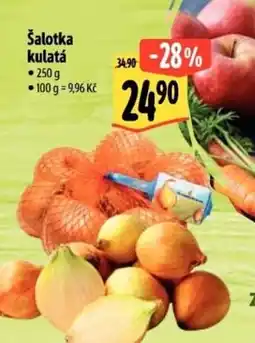 Albert Šalotka kulatá nabídka