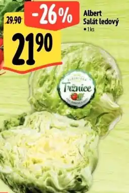 Albert Albert Salát ledový nabídka