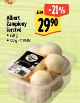 Albert Albert Zampiony čerstvé nabídka