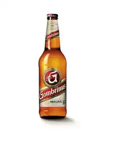 Tesco Gambrinus 10° Originál, světlé výčepní pivo 0,5l 0.5l nabídka
