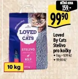 Albert Loved By Cats Stelivo pro kočky nabídka