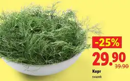 Lidl Kopr svazek nabídka