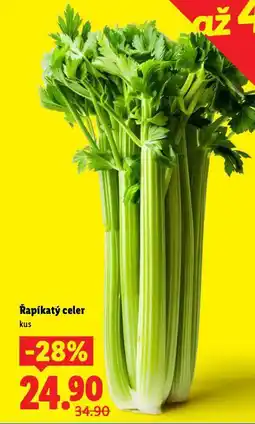 Lidl Řapíkatý celer nabídka