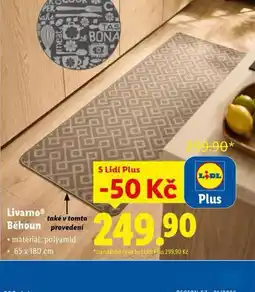 Lidl Běhoun nabídka